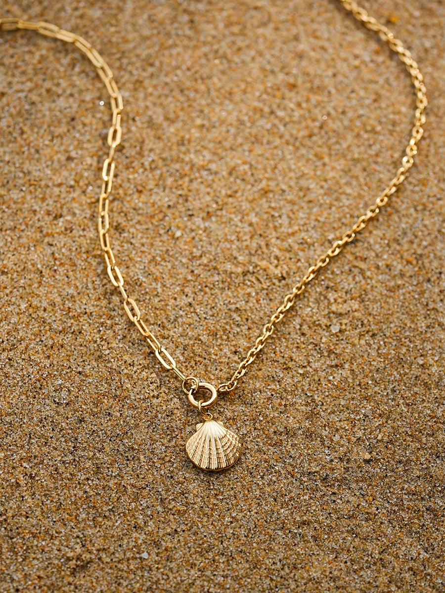 Collier de Coquillages de la Mer