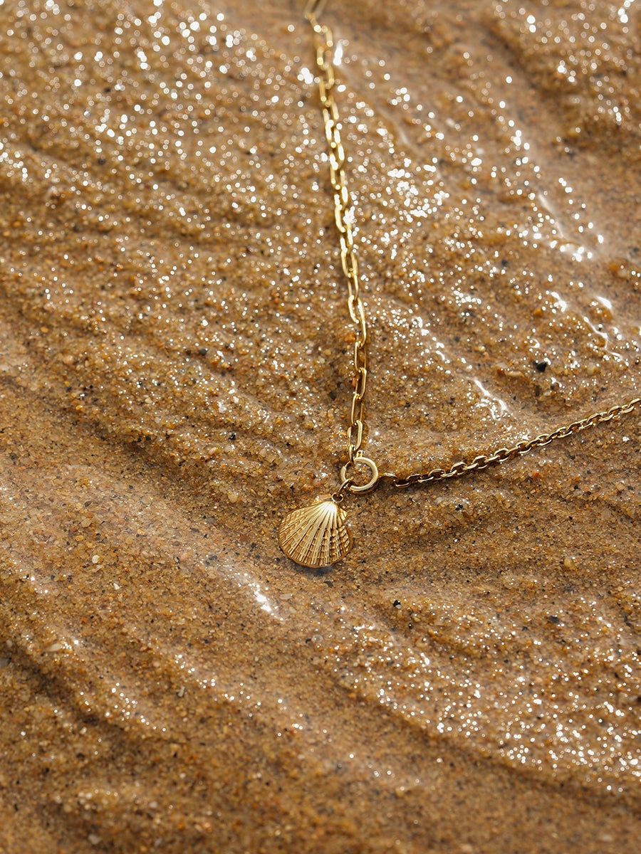 Collier de Coquillages de la Mer
