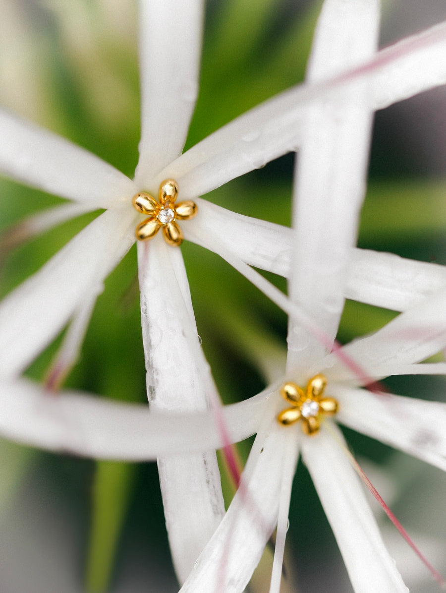 Arracades de Flor Elegants