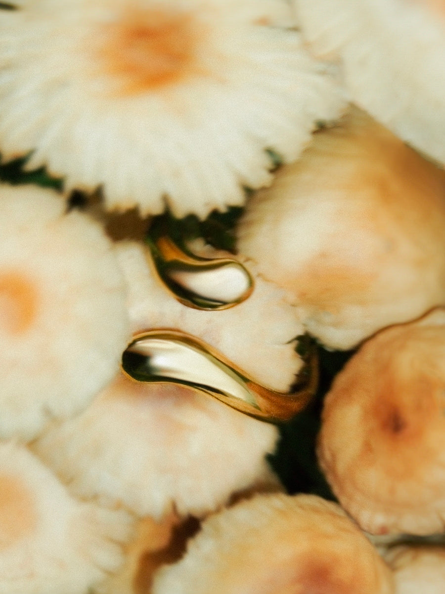 Luksusring