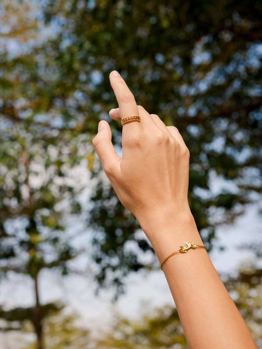 Anell de Somnis Èpics