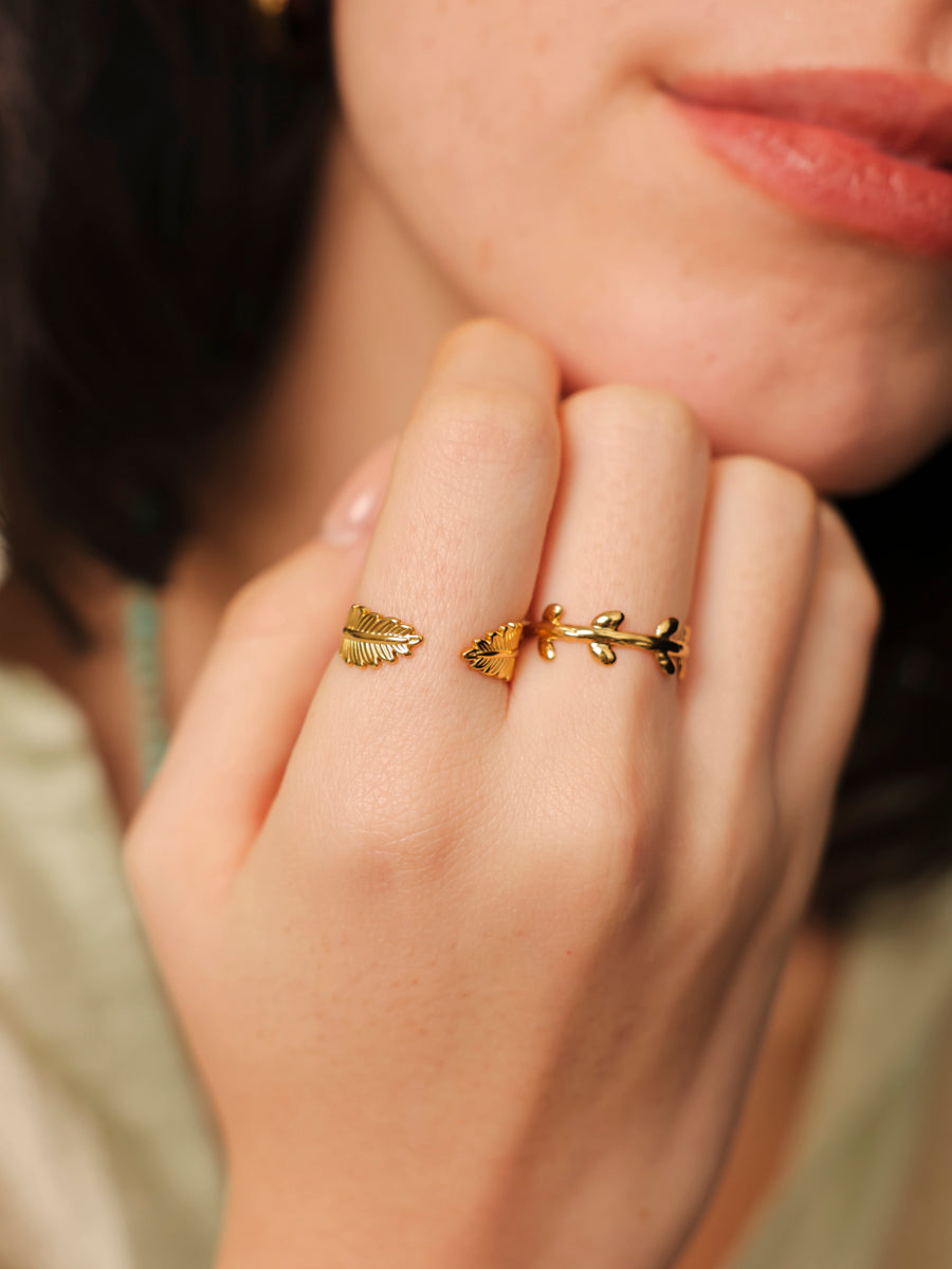 Anello Ali Naturali