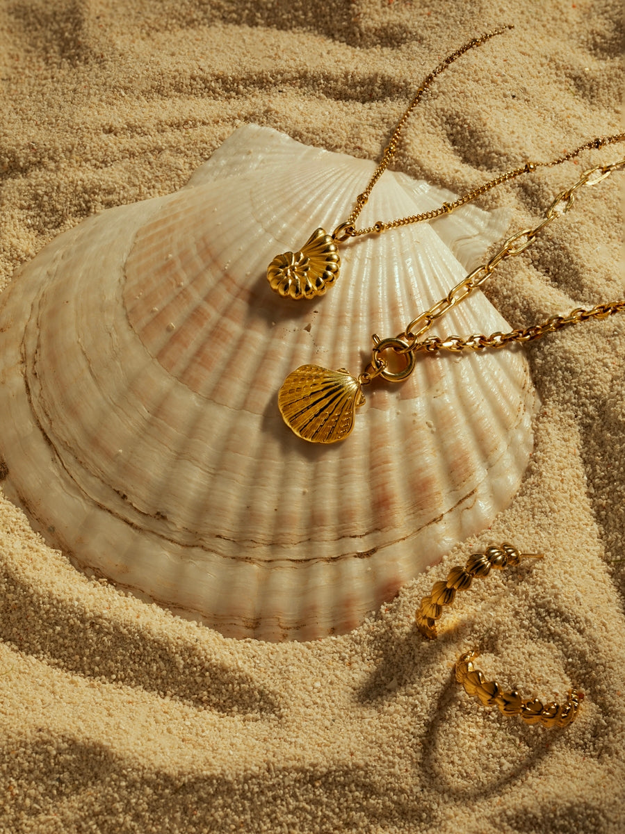 Collier de Coquillages de la Mer