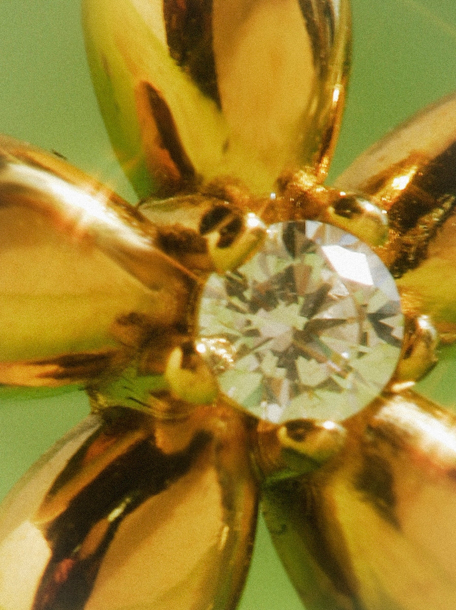 Arracades de Flor Elegants